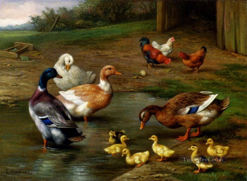 Chickens Ducks And Ducklings Paddling farm animals Edgar Hunt Oil Paintings